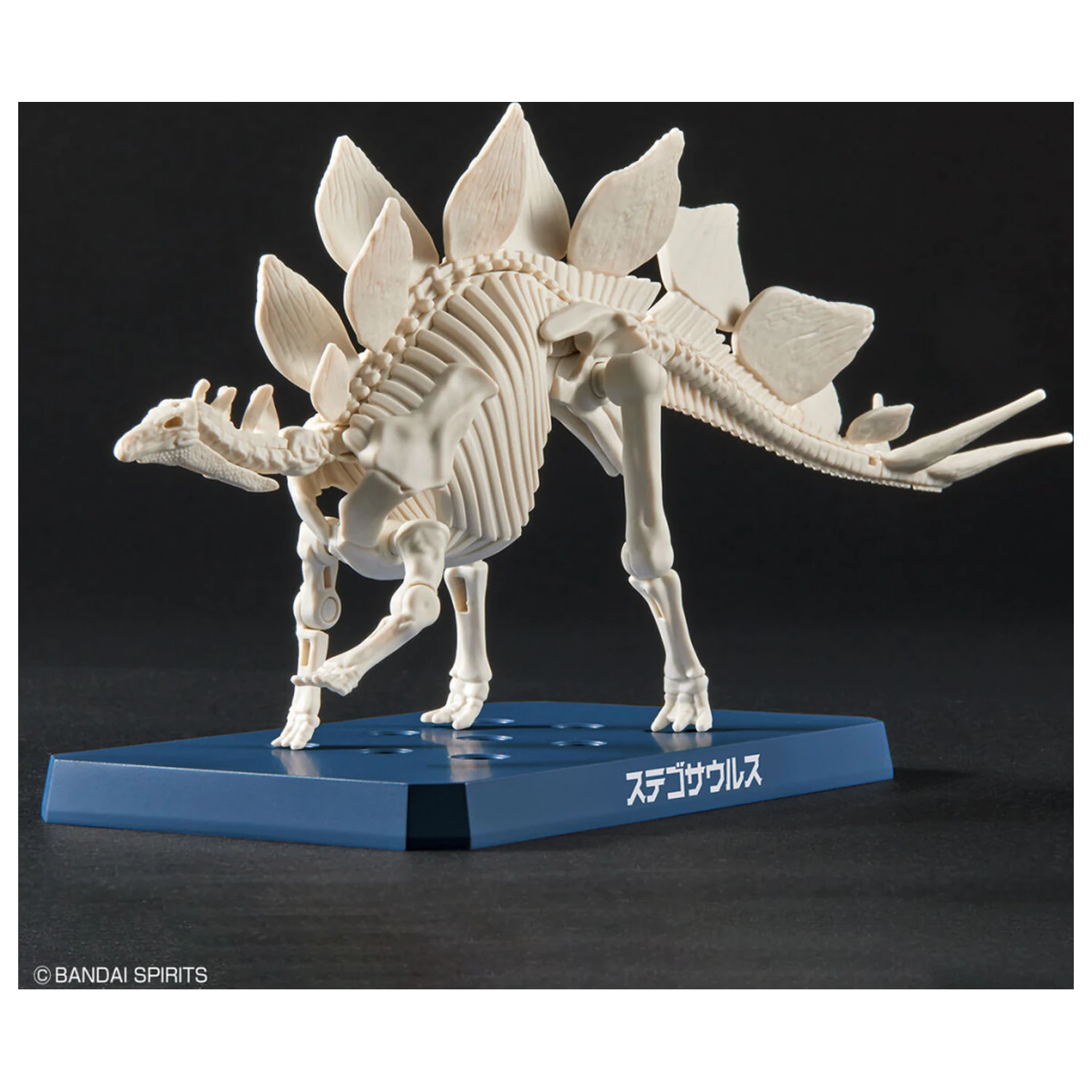 Dinosaur New Dinosaur Plastic Stegosaurus (Tentative) Set model de asamblat poza produsului