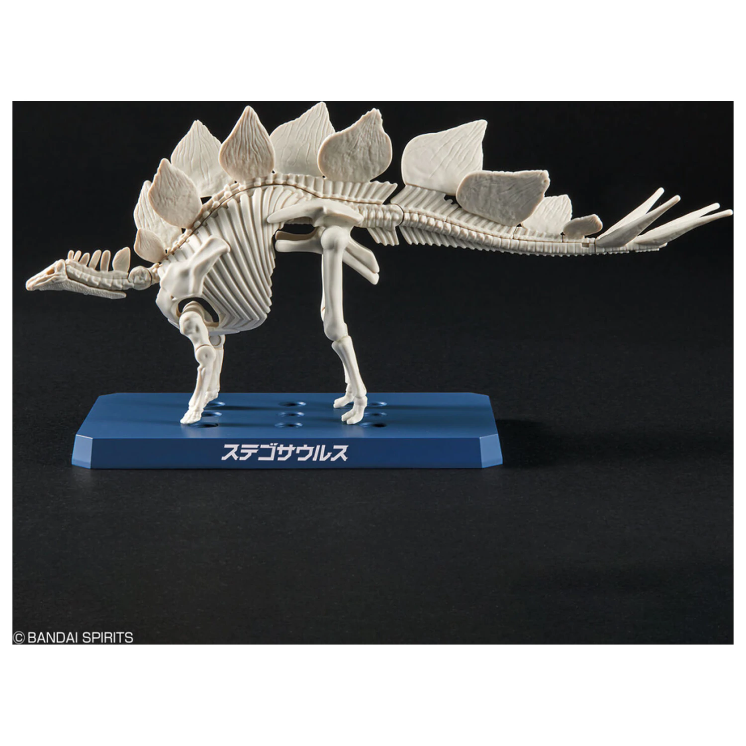Dinosaur New Dinosaur Plastic Stegosaurus (Tentative) Set model de asamblat poza produsului