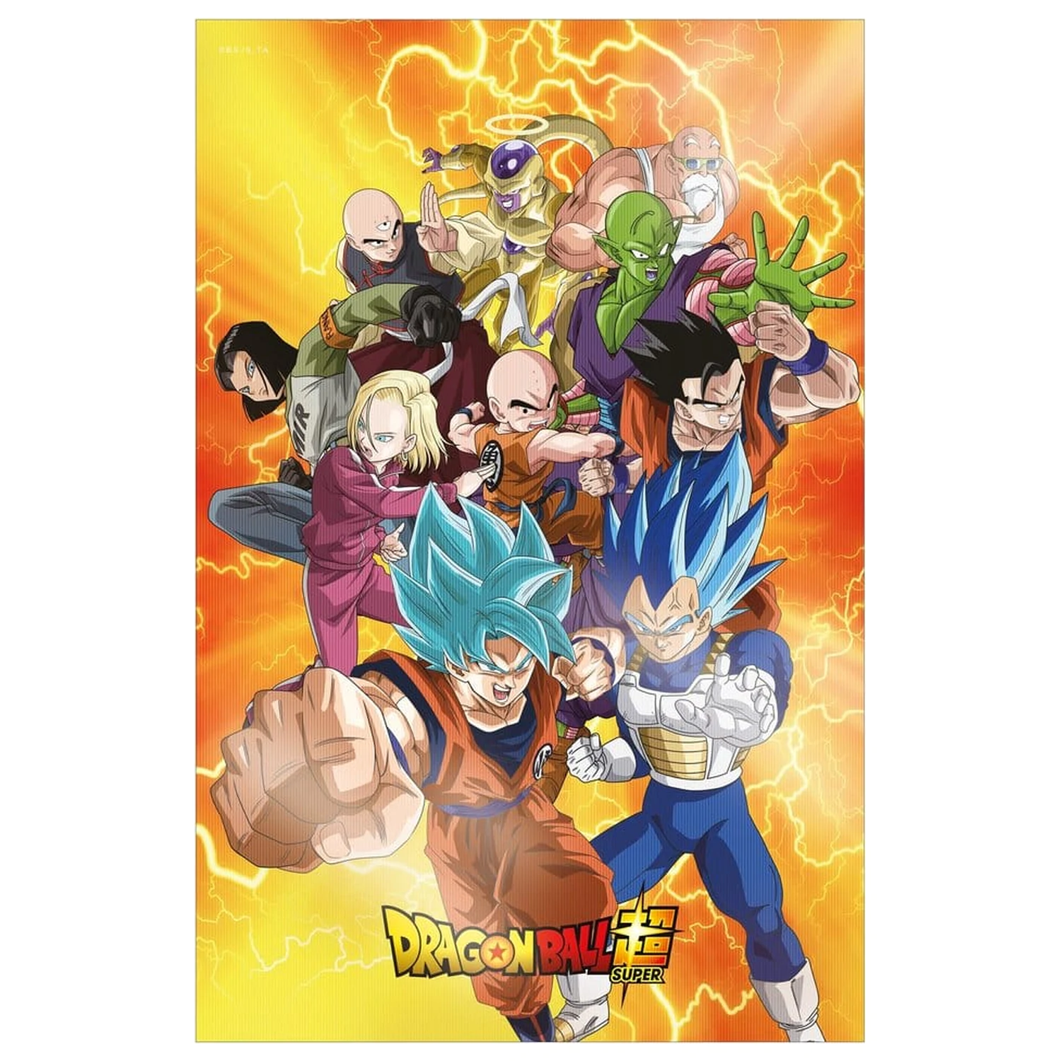 Dragon Ball Super 3D Poster Survival Heroes 38 x 58 cm poza produsului