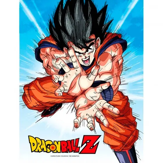 Poster din sticlă Dragon Ball Z Goku Kame poza produsului