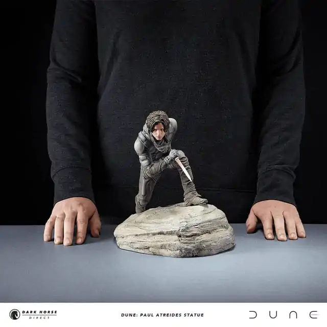 Dune Statuie Paul Atreides 22 cm poza produsului