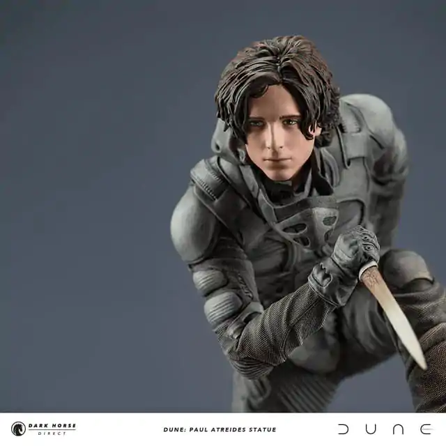 Dune Statuie Paul Atreides 22 cm poza produsului