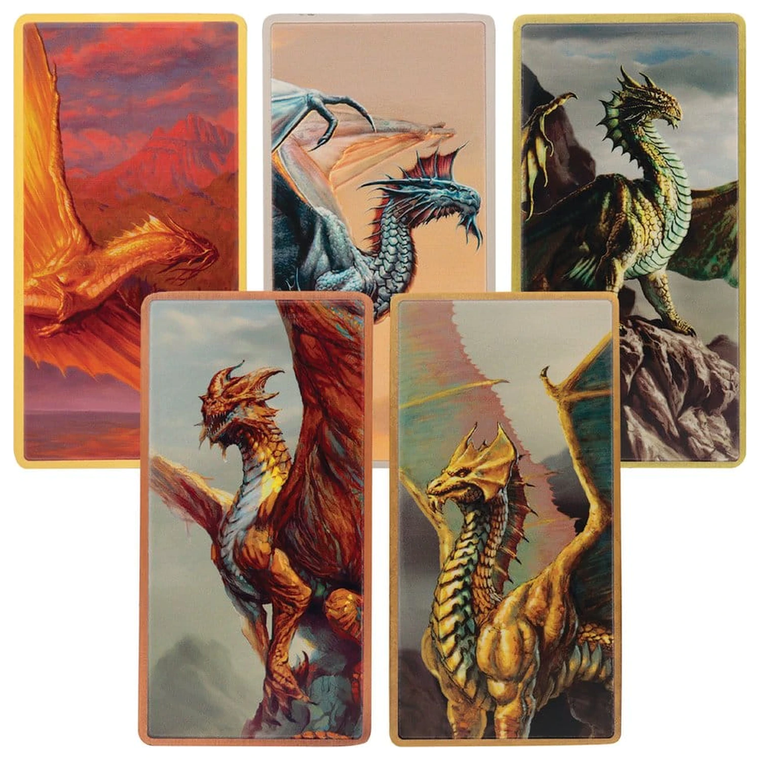 Dungeons & Dragons Set lingou Magnet Warrior Ediție limitată poza produsului