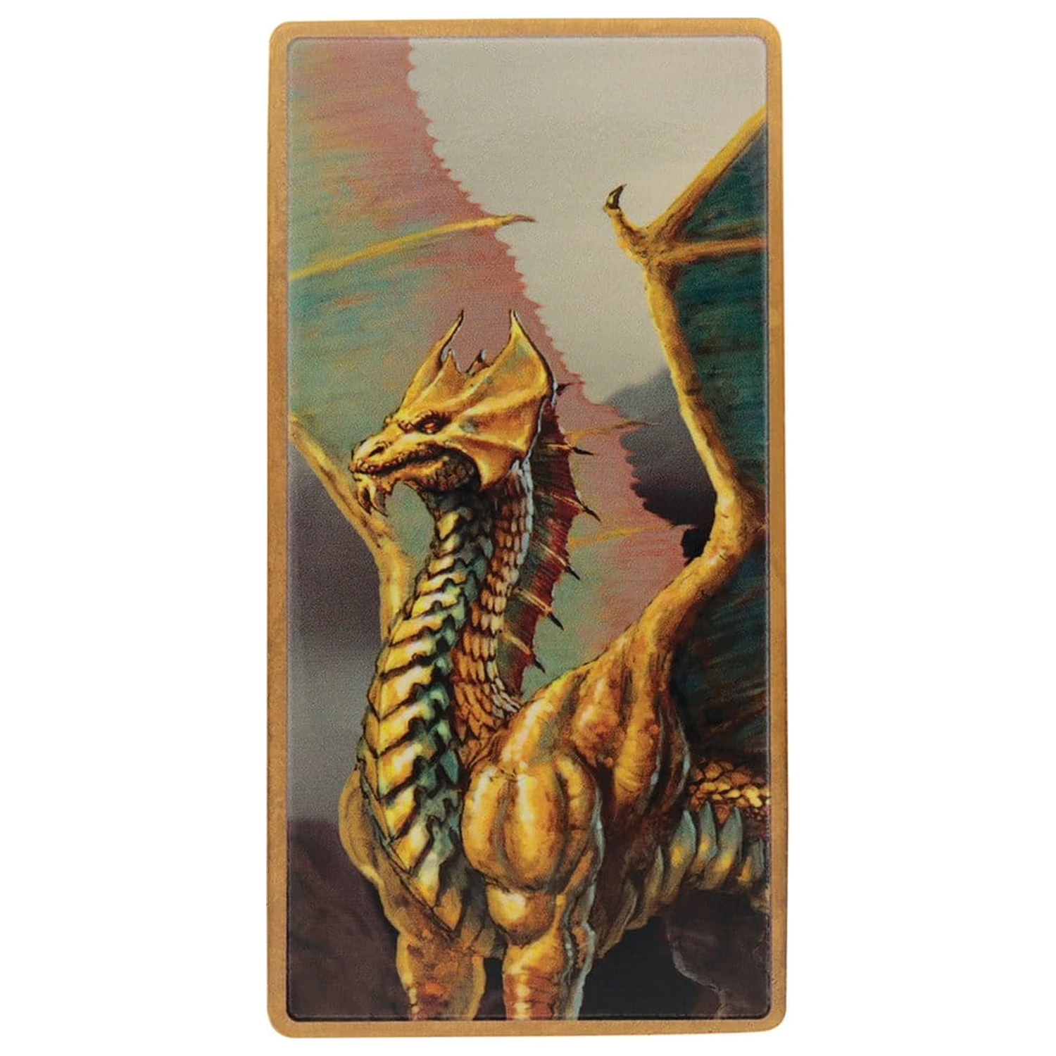 Dungeons & Dragons Set lingou Magnet Warrior Ediție limitată poza produsului