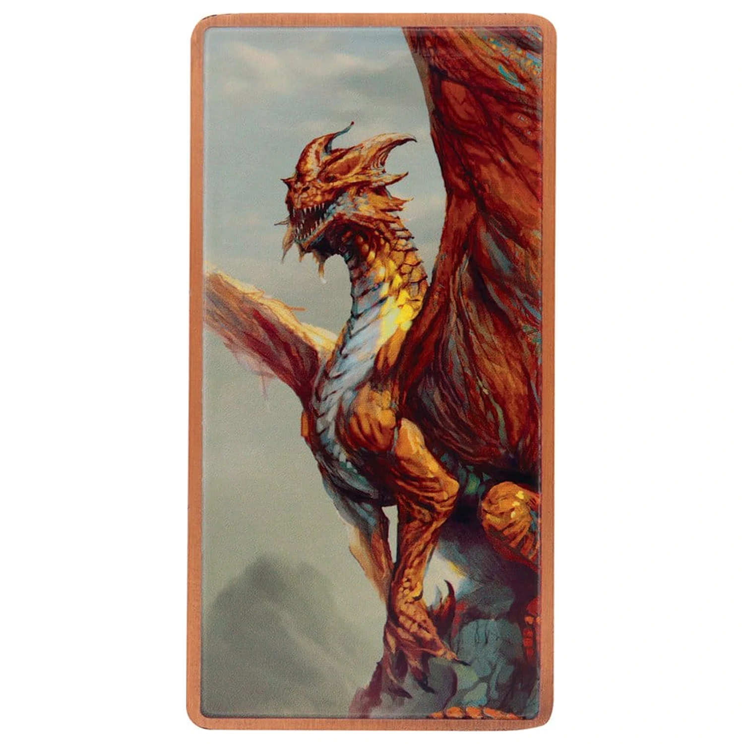 Dungeons & Dragons Set lingou Magnet Warrior Ediție limitată poza produsului