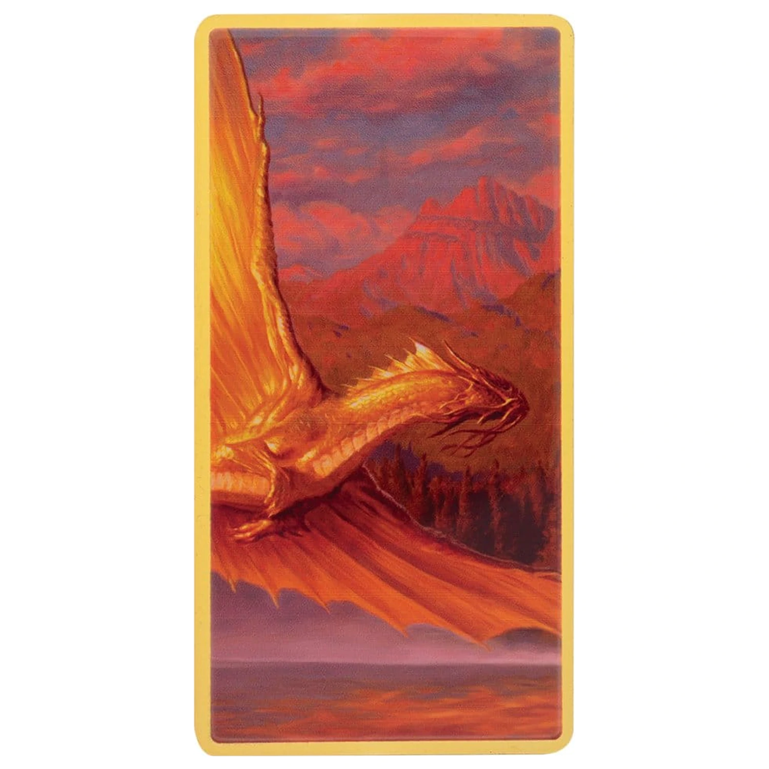 Dungeons & Dragons Set lingou Magnet Warrior Ediție limitată poza produsului