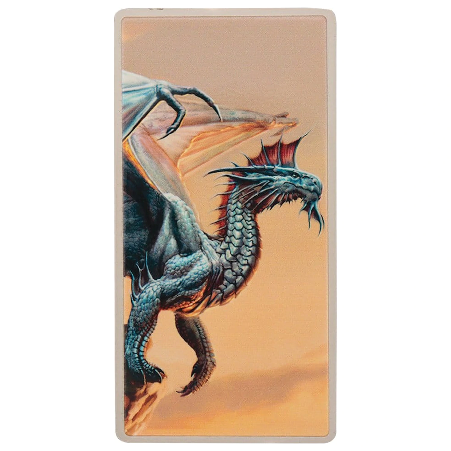 Dungeons & Dragons Set lingou Magnet Warrior Ediție limitată poza produsului