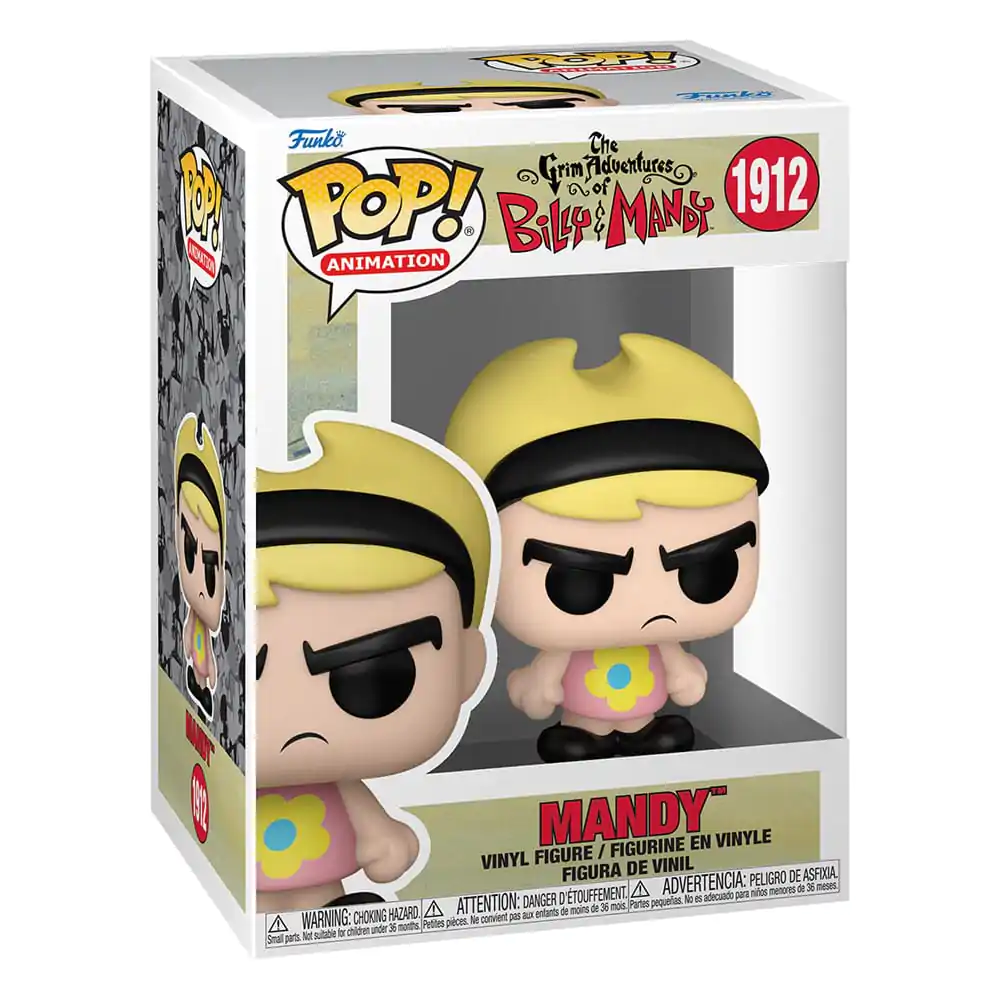 The Grim Adventure of Billy & Mandy Funko POP! TV Vinyl Figure Mandy 9 cm Figurina din vinil poza produsului