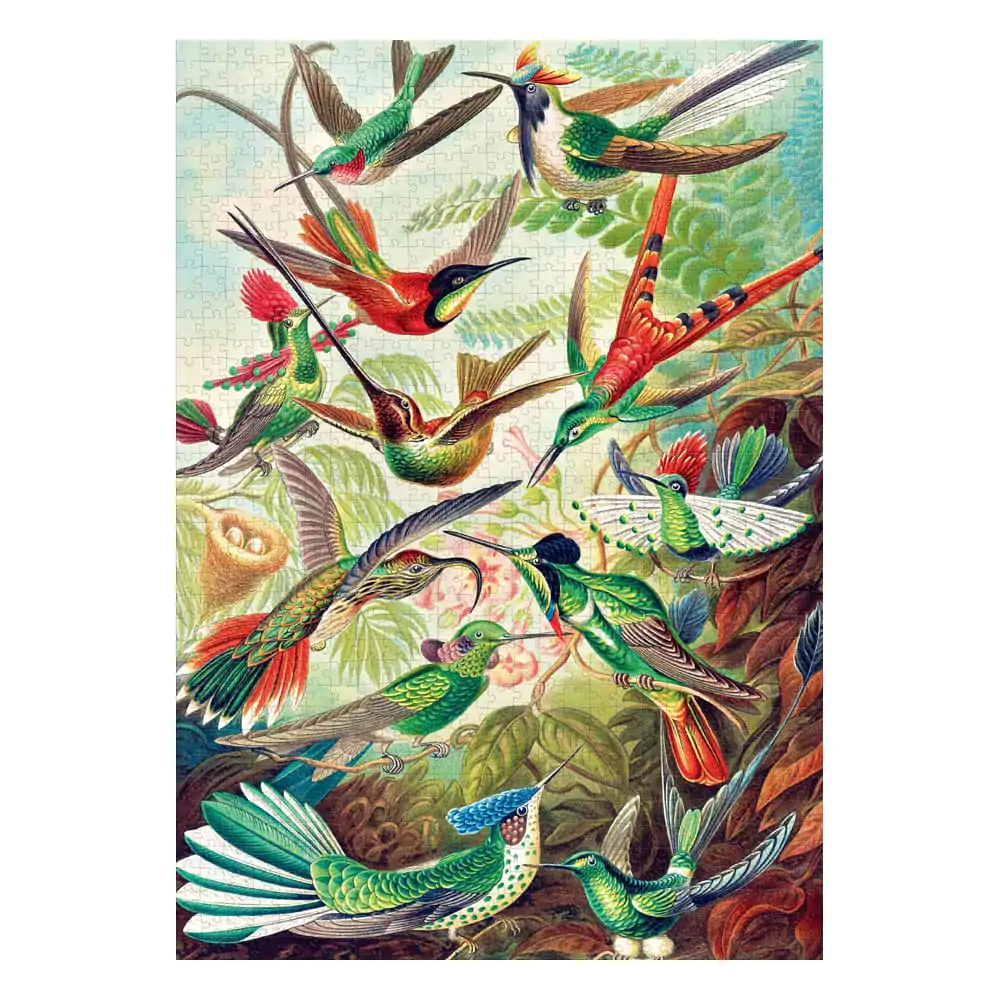 Ernst Haeckel Imagination Puzzle Colibri/Kolibry (1000 piese) poza produsului