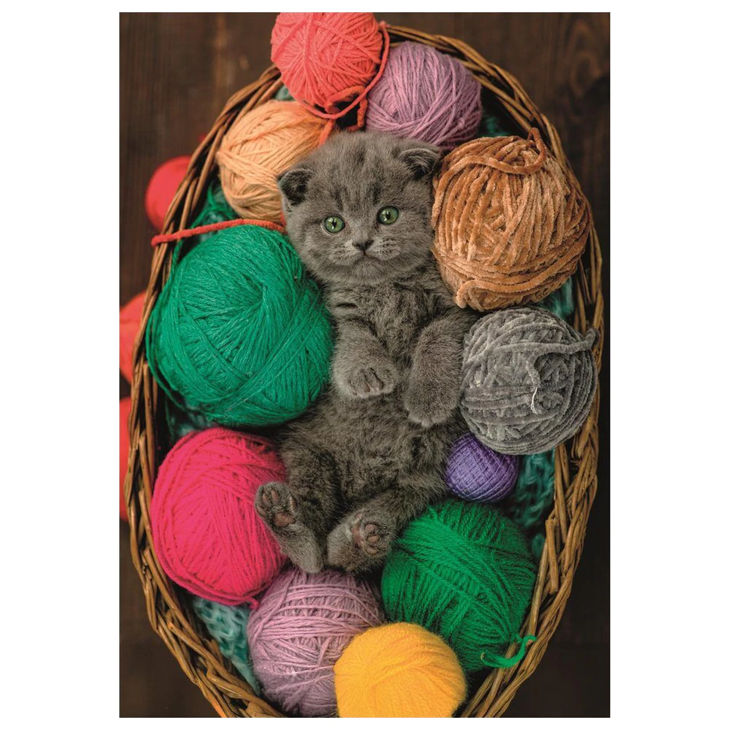 Fluffy Kitten puzzle 500 piese poza produsului