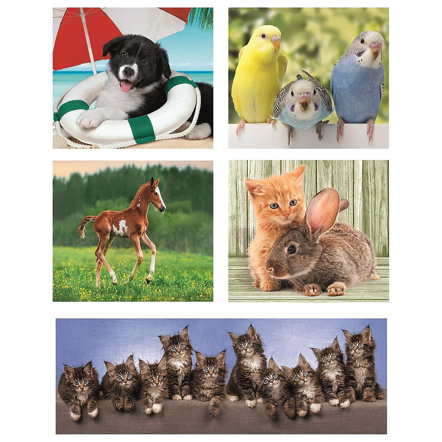 Friends Puzzle 10-in-1 Clementoni poza produsului