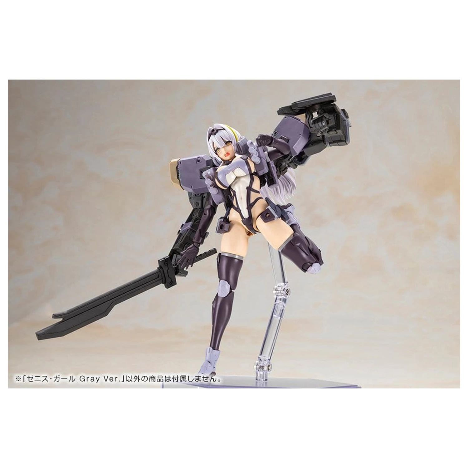 Front Mission Model din plastic Non Zenith Girl Gray Ver. 16 cm poza produsului