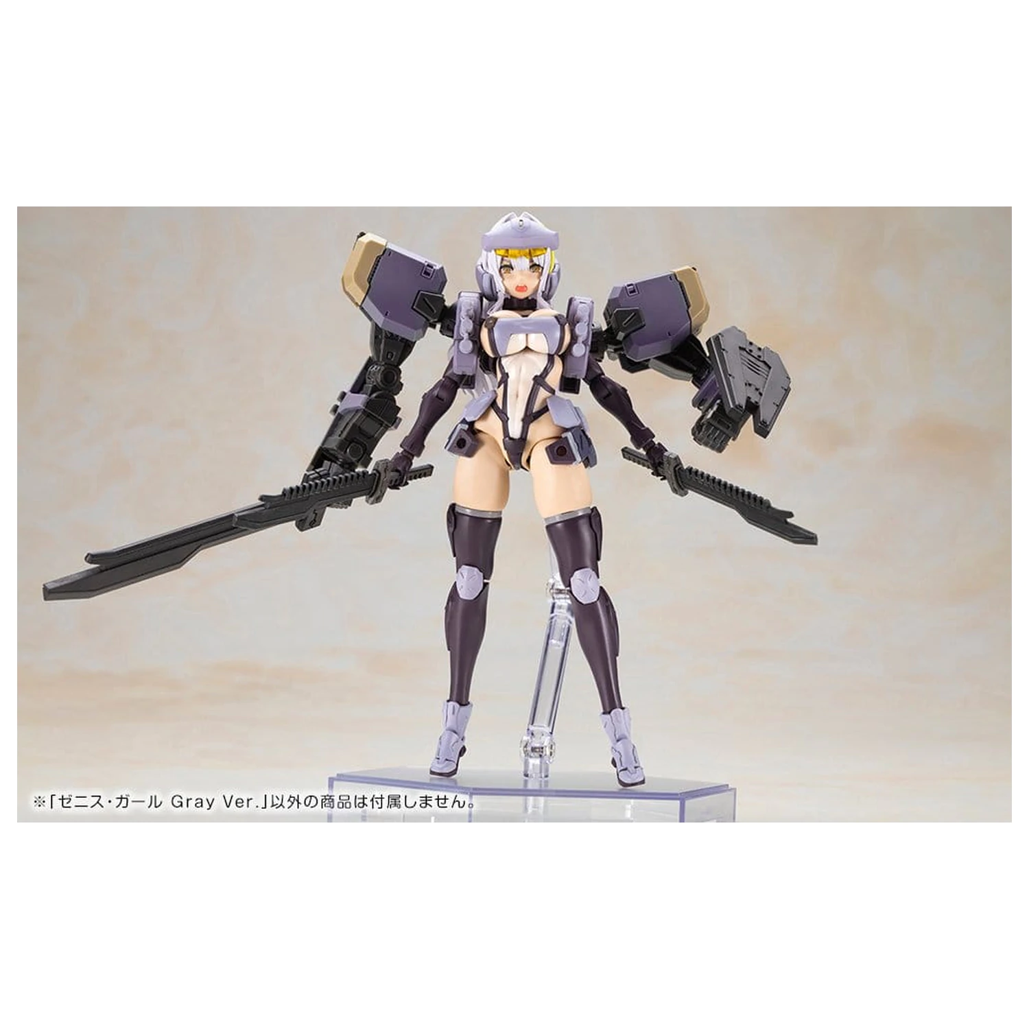 Front Mission Model din plastic Non Zenith Girl Gray Ver. 16 cm poza produsului