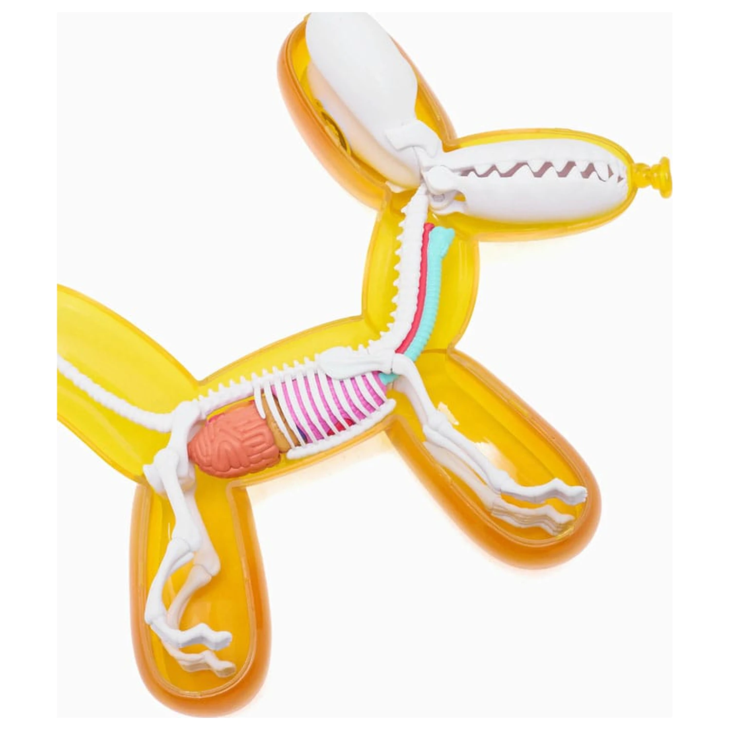 Statueta caine balon Funny Anatomy Honey Edition poza produsului