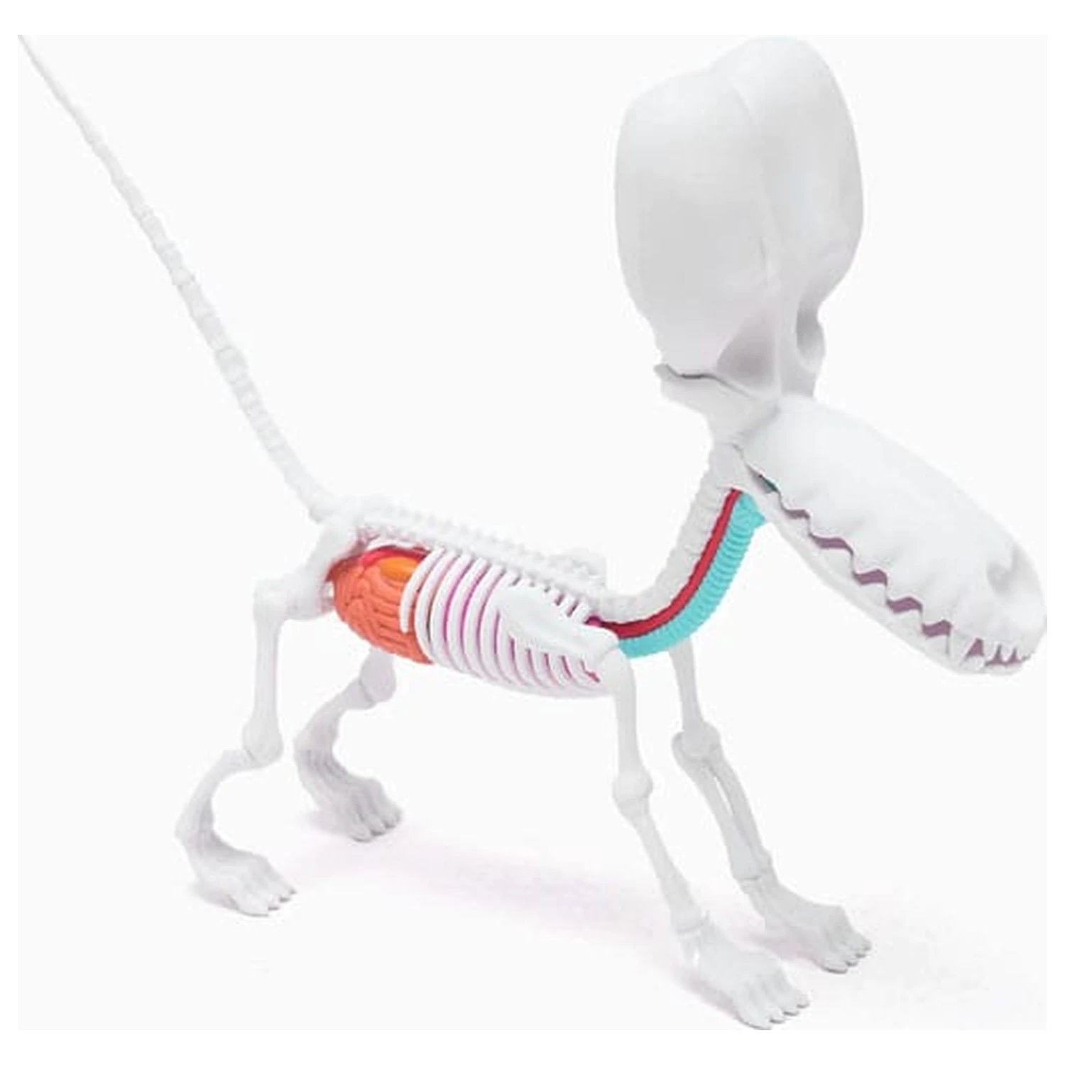 Statueta caine balon Funny Anatomy Honey Edition poza produsului