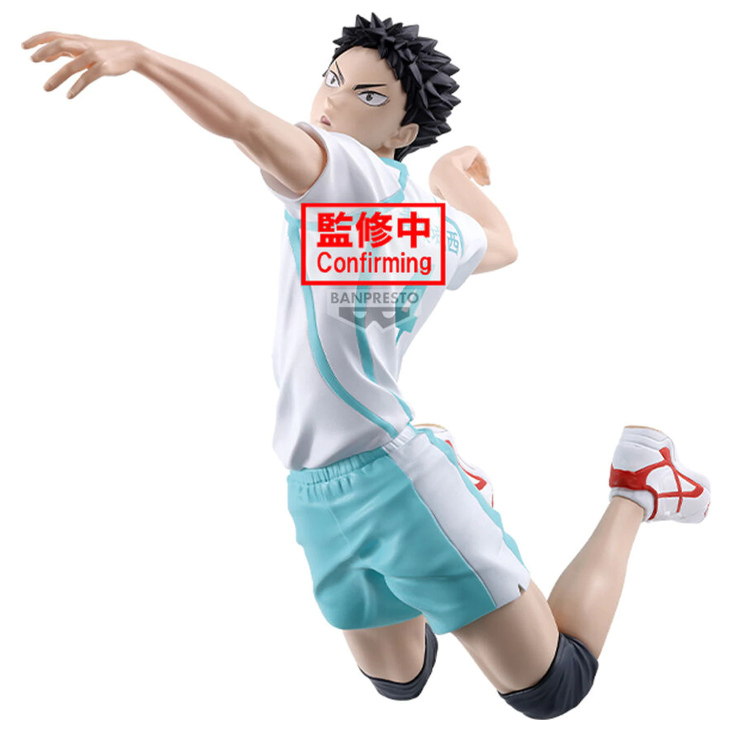Haikyu!! Posing Figure Hajime Iwaizumi figurina 15cm poza produsului