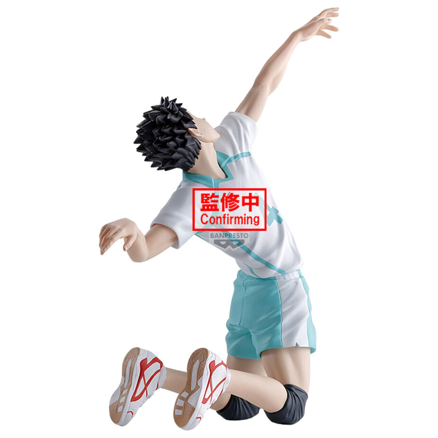 Haikyu!! Posing Figure Hajime Iwaizumi figurina 15cm poza produsului