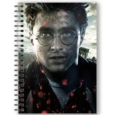 Caiet Harry Potter cu Harry Potter Face cu efect 3D poza produsului