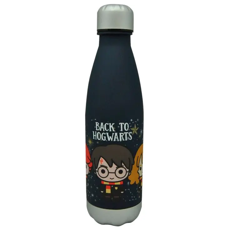 Harry Potter Back to Hogwarst sticlă 650ml poza produsului