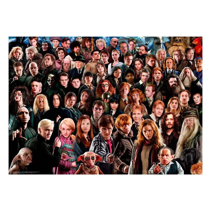 Harry Potter Challenge Puzzle tip jigsaw Cast (1000 piese) poza produsului