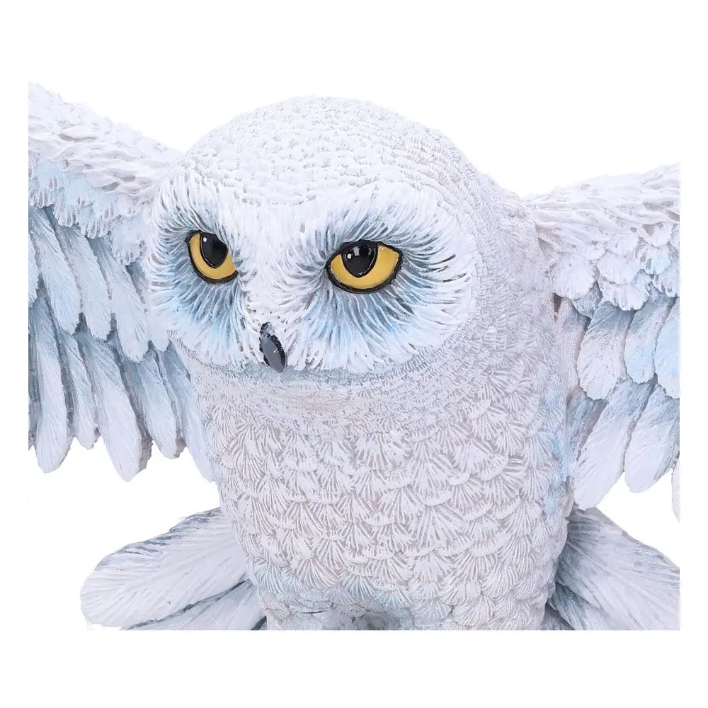Placa de perete Harry Potter Hedwig 45 cm poza produsului