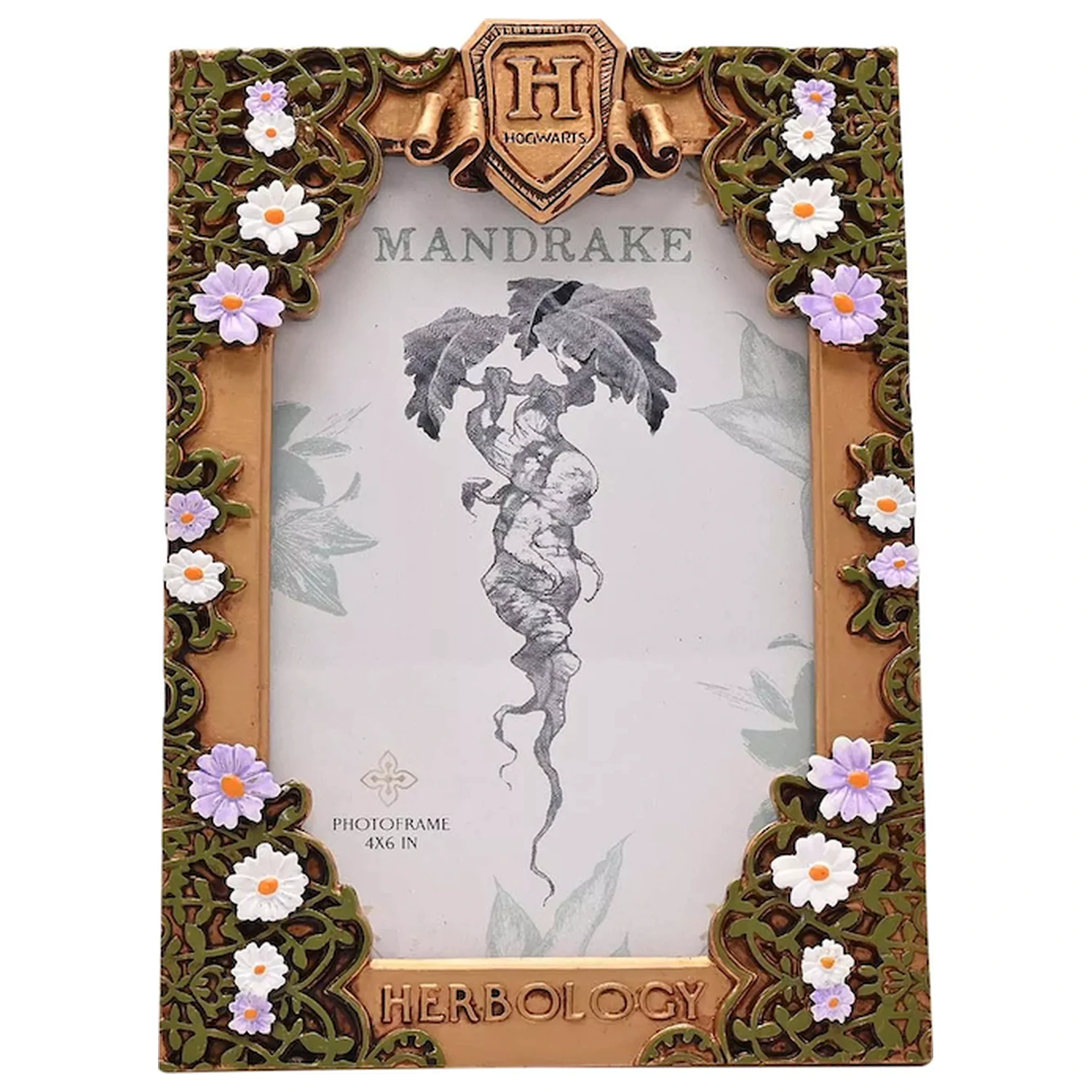 Harry Potter Herbology Rame foto 3D poza produsului