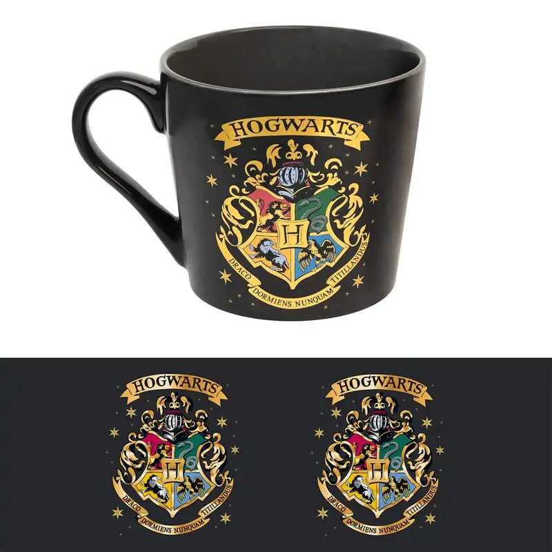 Harry Potter Hogwarts cană premium poza produsului