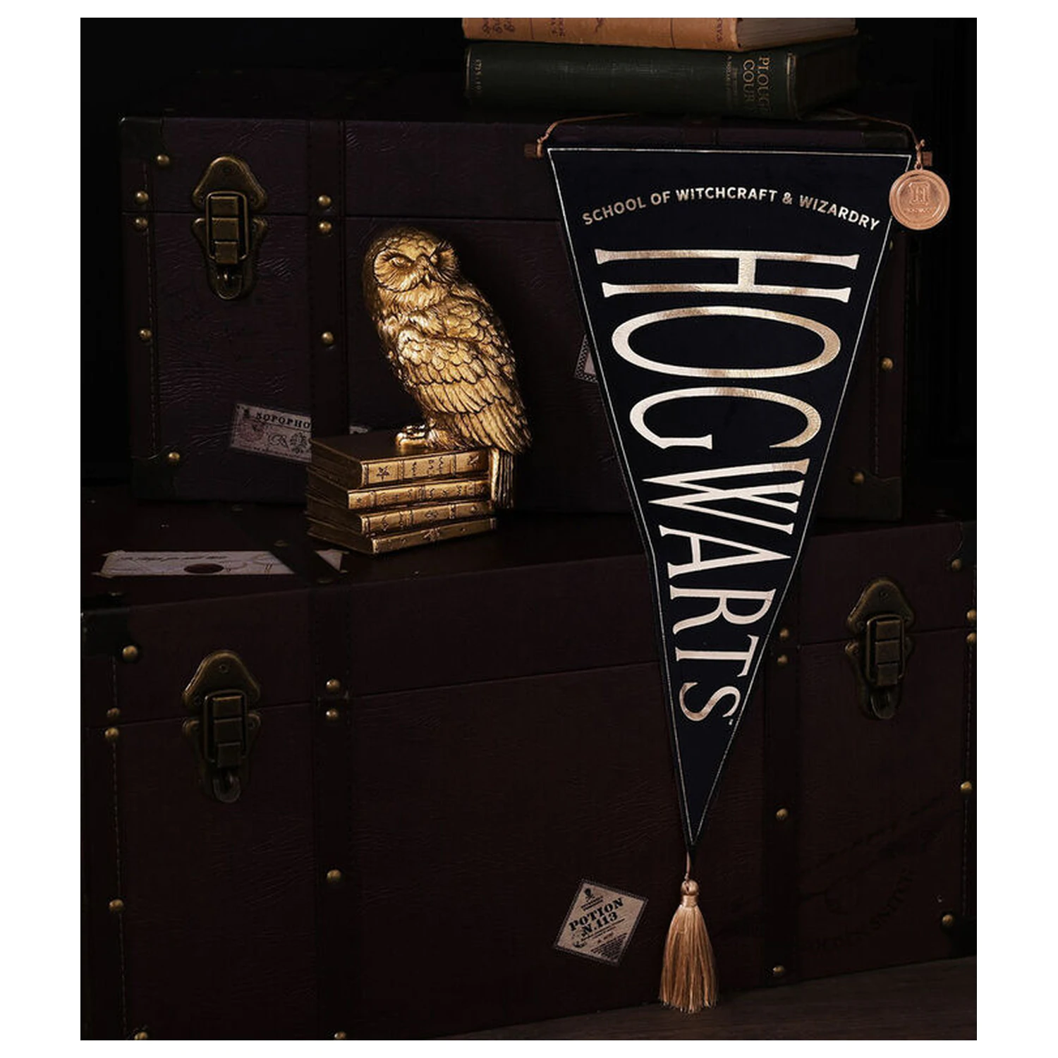 Harry Potter Hogwarts banner suspendat poza produsului