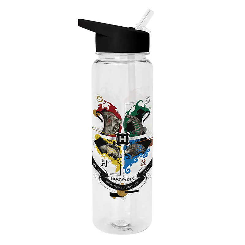 Harry Potter Hogwarts Houses sticlă 700ml poza produsului