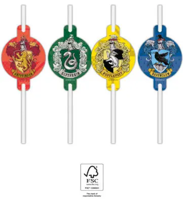 Harry Potter Hogwarts Houses Pai de hartie Set de 4 piese FSC poza produsului