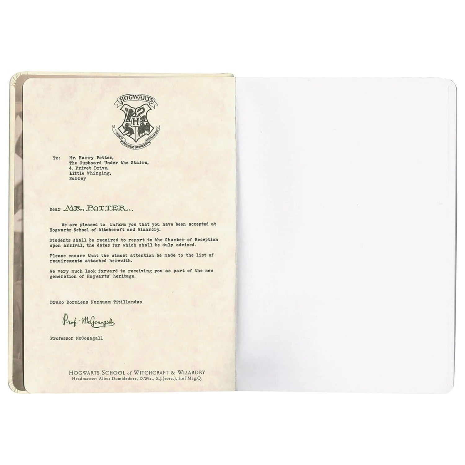 Harry Potter Hardcover Caiet Hogwarts Letter 21 cm poza produsului
