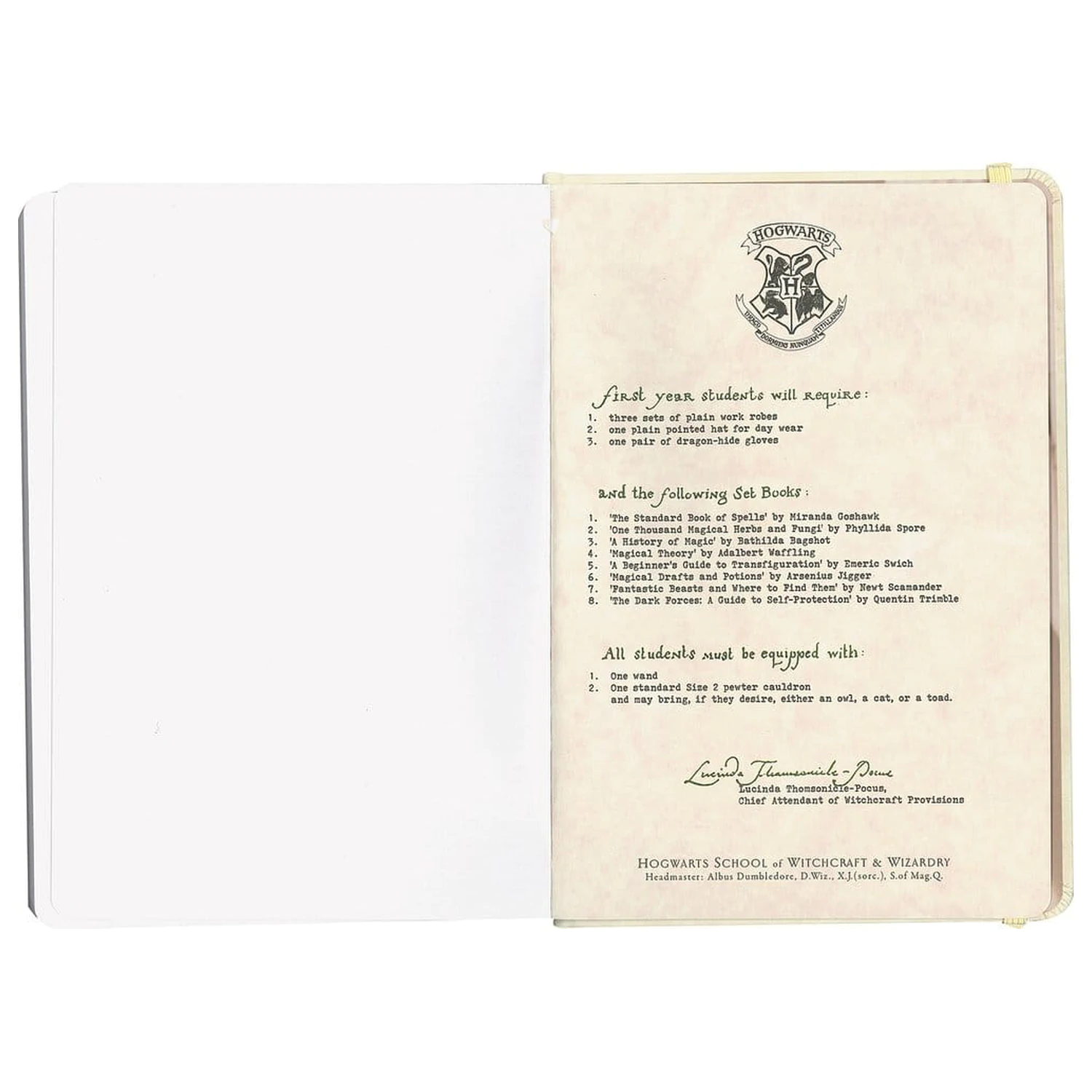 Harry Potter Hardcover Caiet Hogwarts Letter 21 cm poza produsului