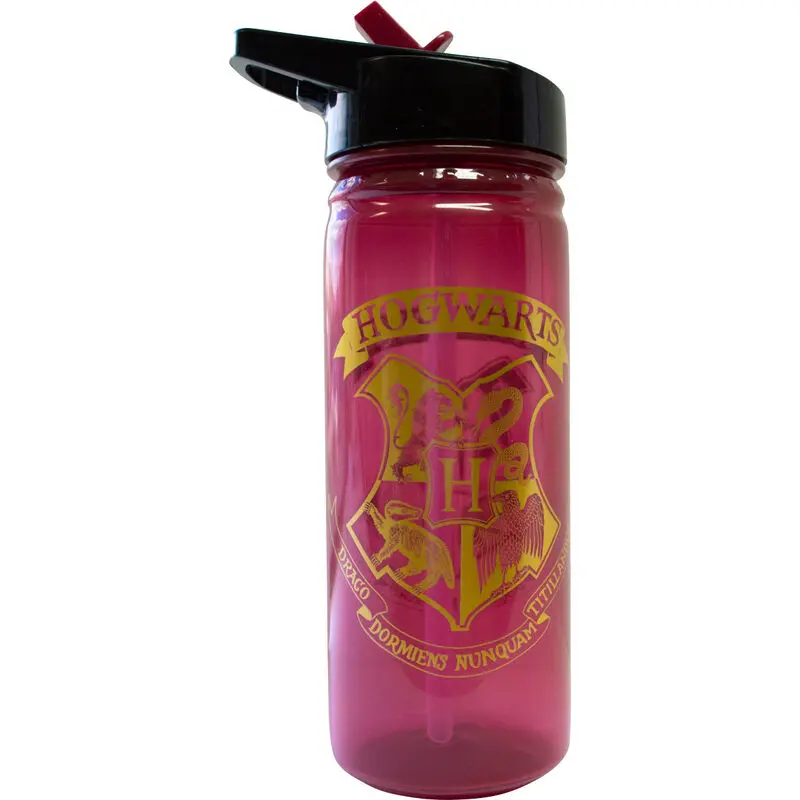 Harry Potter Hogwarts sticlă 600ml poza produsului