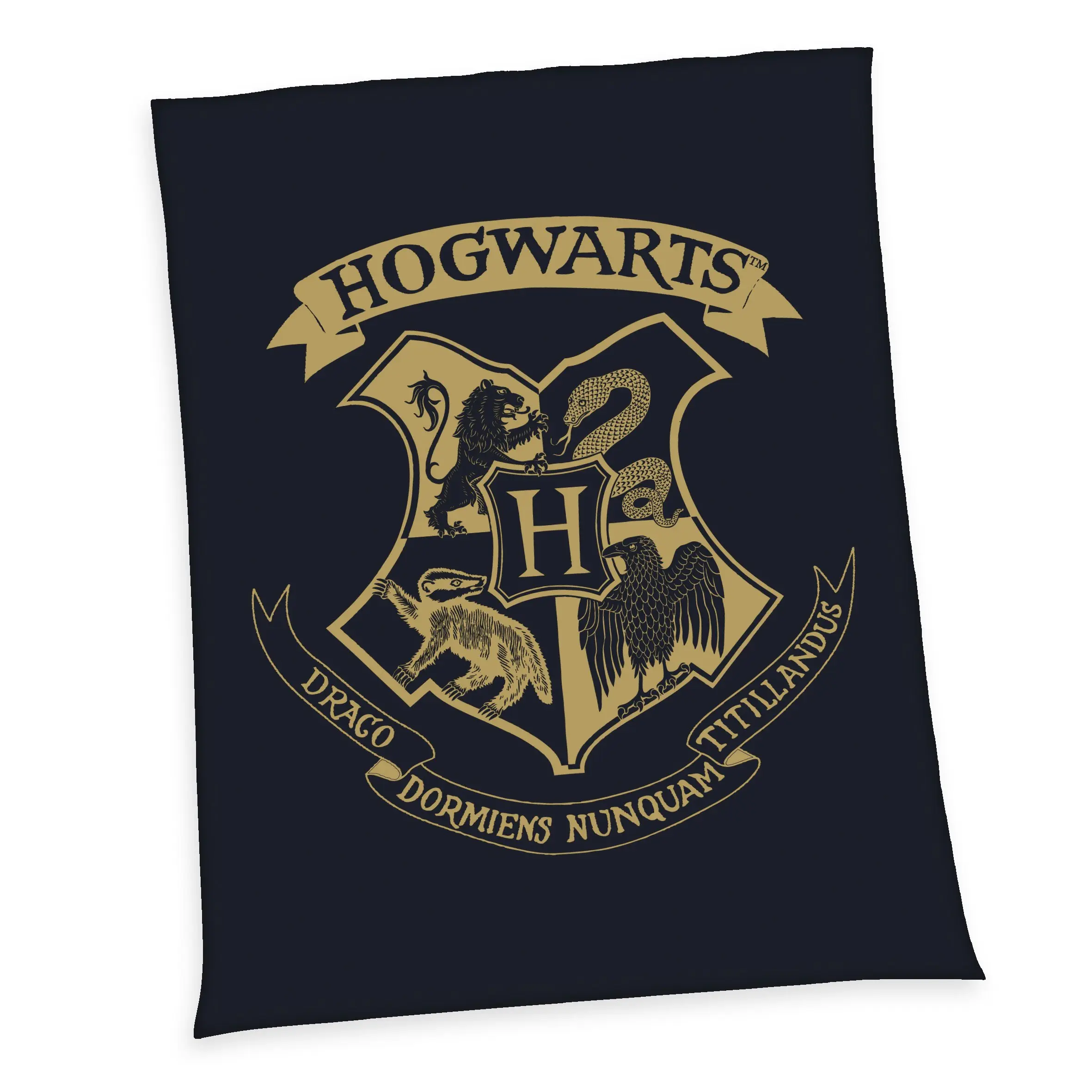 Pătură Fleece Harry Potter Hogwarts 150 x 200 cm poza produsului