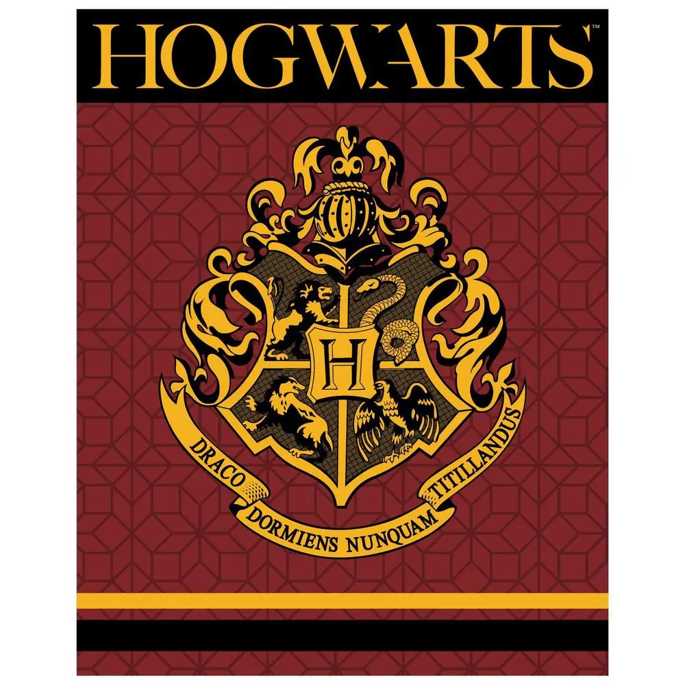 Harry Potter Hogwarts pătura coral premium poza produsului