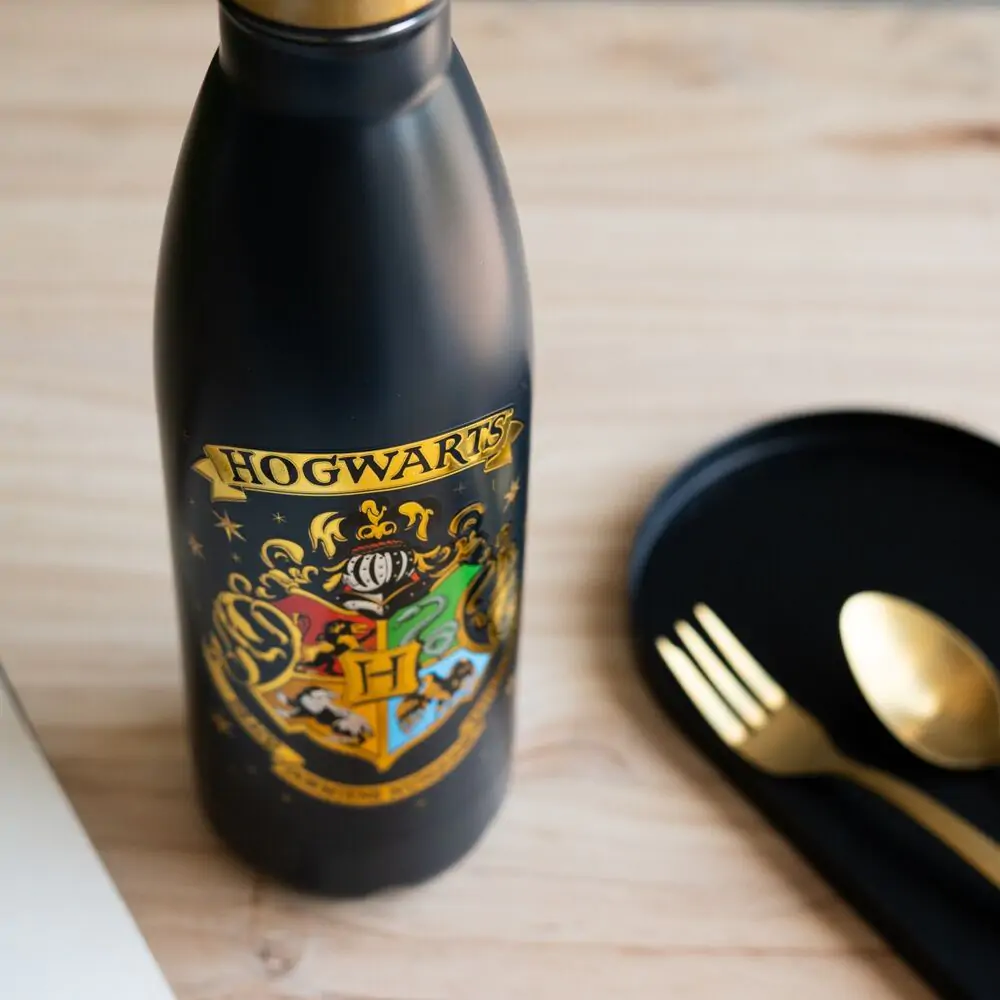 Harry Potter Hogwarts Sticlă inox 500ml poza produsului