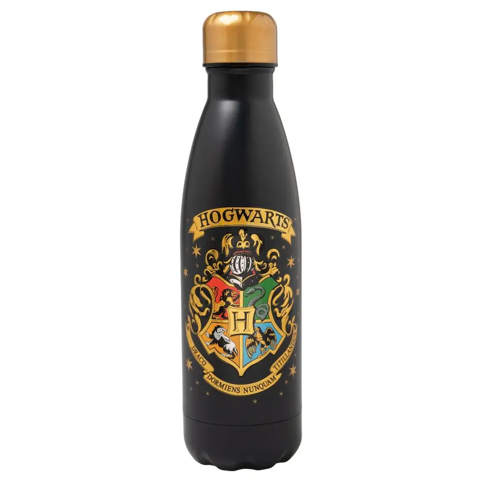 Harry Potter Hogwarts Sticlă inox 500ml poza produsului