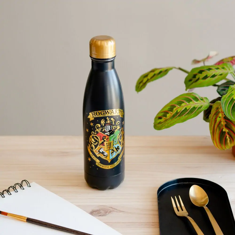 Harry Potter Hogwarts Sticlă inox 500ml poza produsului