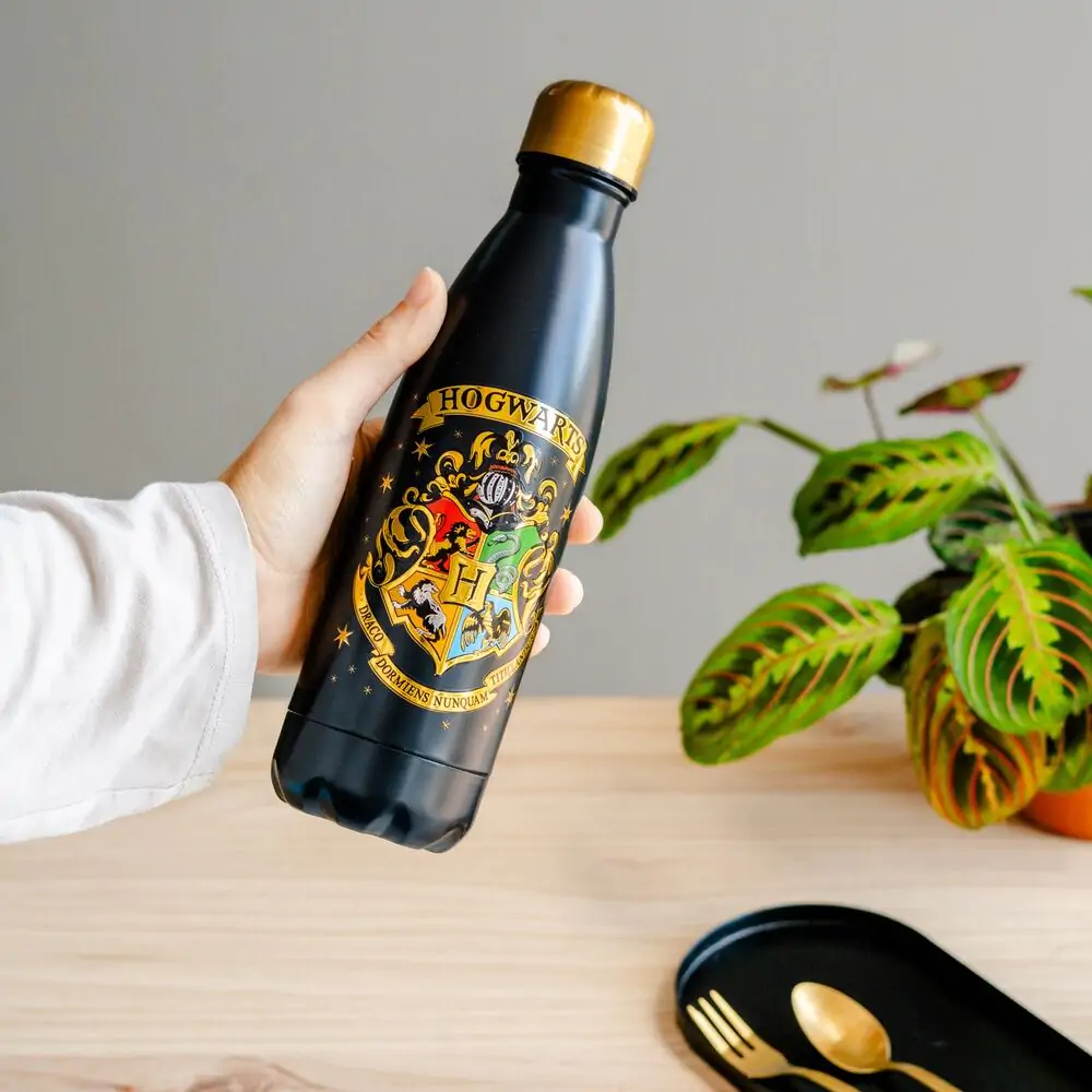 Harry Potter Hogwarts Sticlă inox 500ml poza produsului