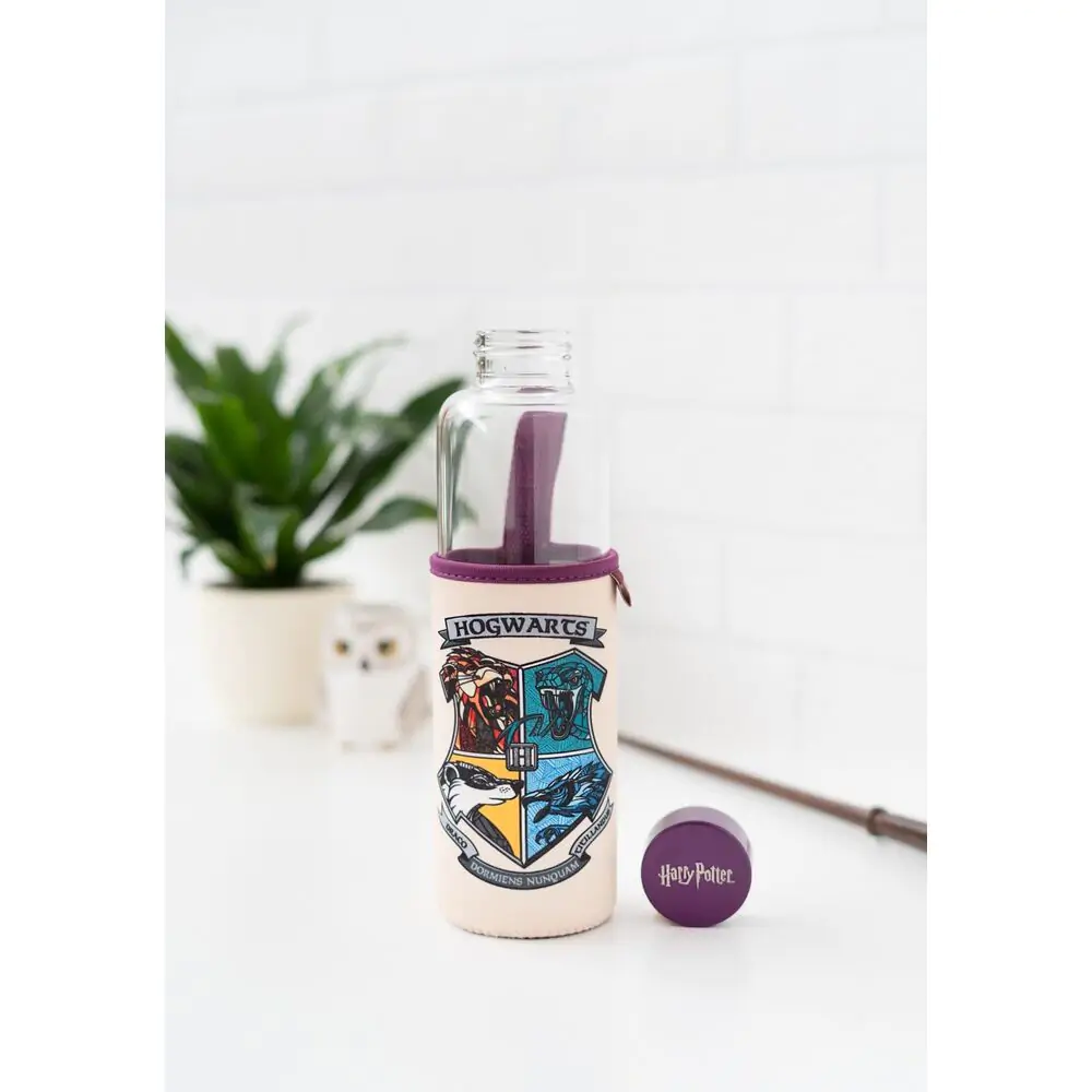 Harry Potter Hogwarts sticlă 500ml poza produsului