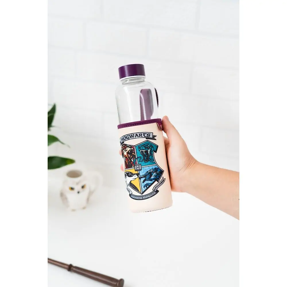 Harry Potter Hogwarts sticlă 500ml poza produsului