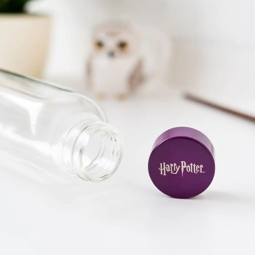 Harry Potter Hogwarts sticlă 500ml poza produsului