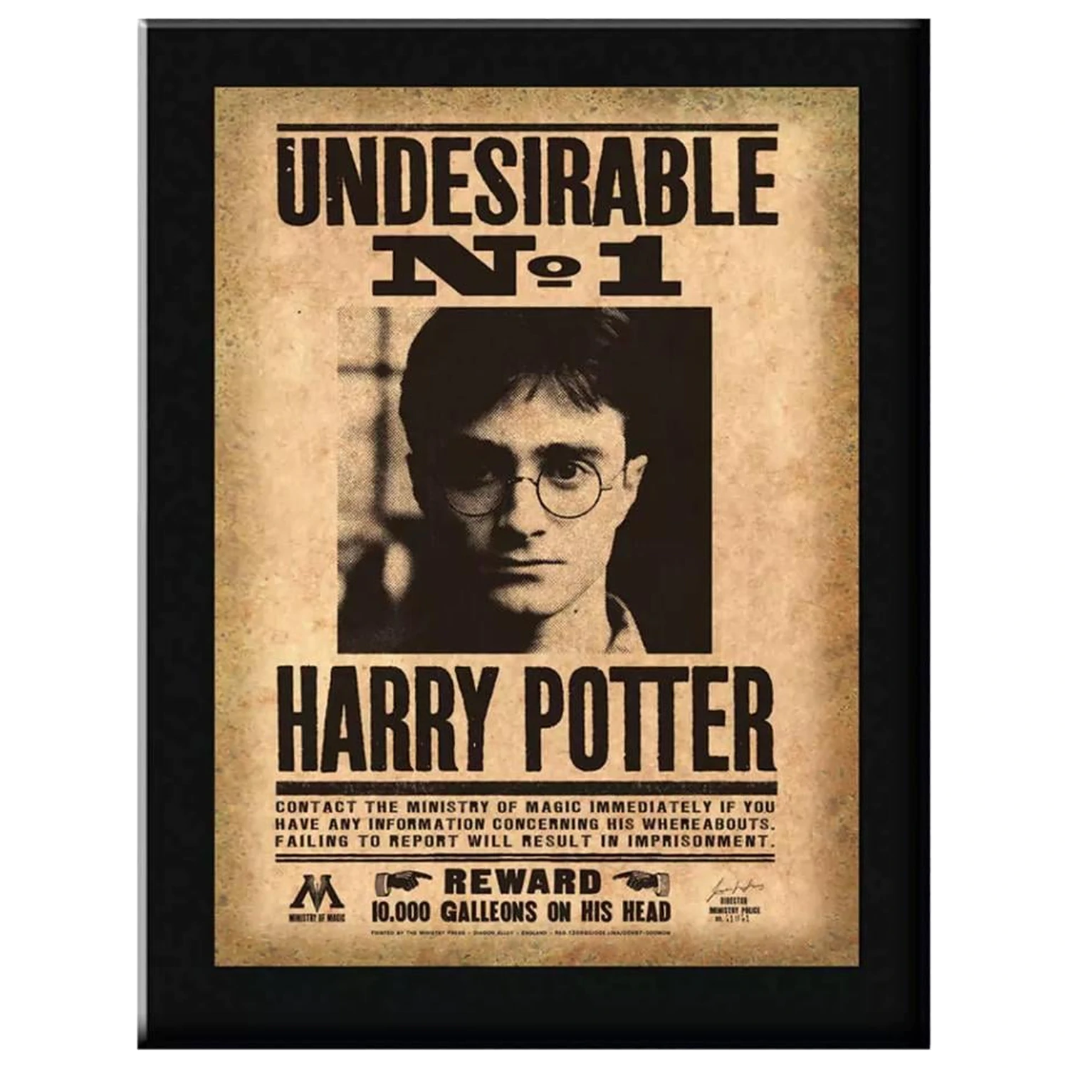 Placa de perete Harry Potter Indesirable N°1 poza produsului