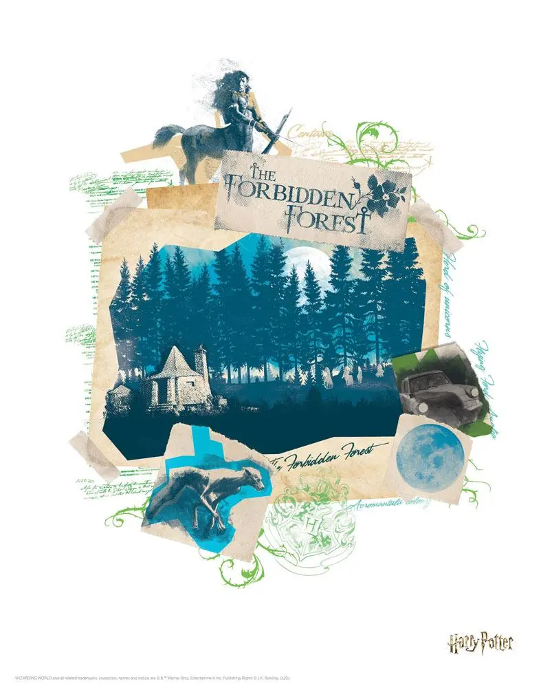 Harry Potter Set de 10 litografii 36 x 28 cm poza produsului