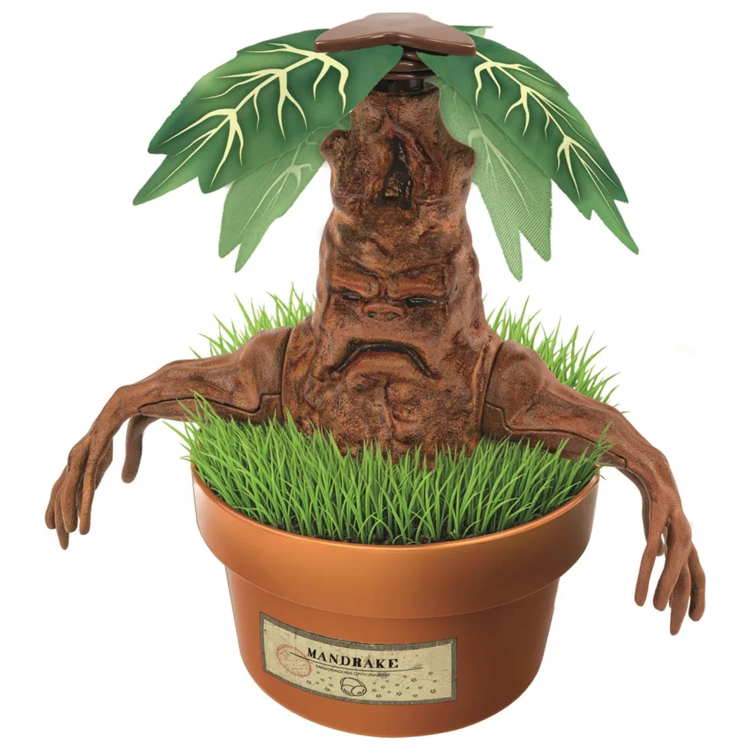 Harry Potter Mandrake Model Making Kit poza produsului