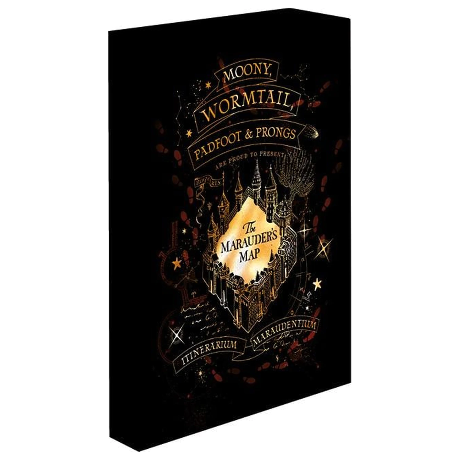 Harry Potter Marauders Map Tablou de perete luminos pe panza 40x30 cm poza produsului