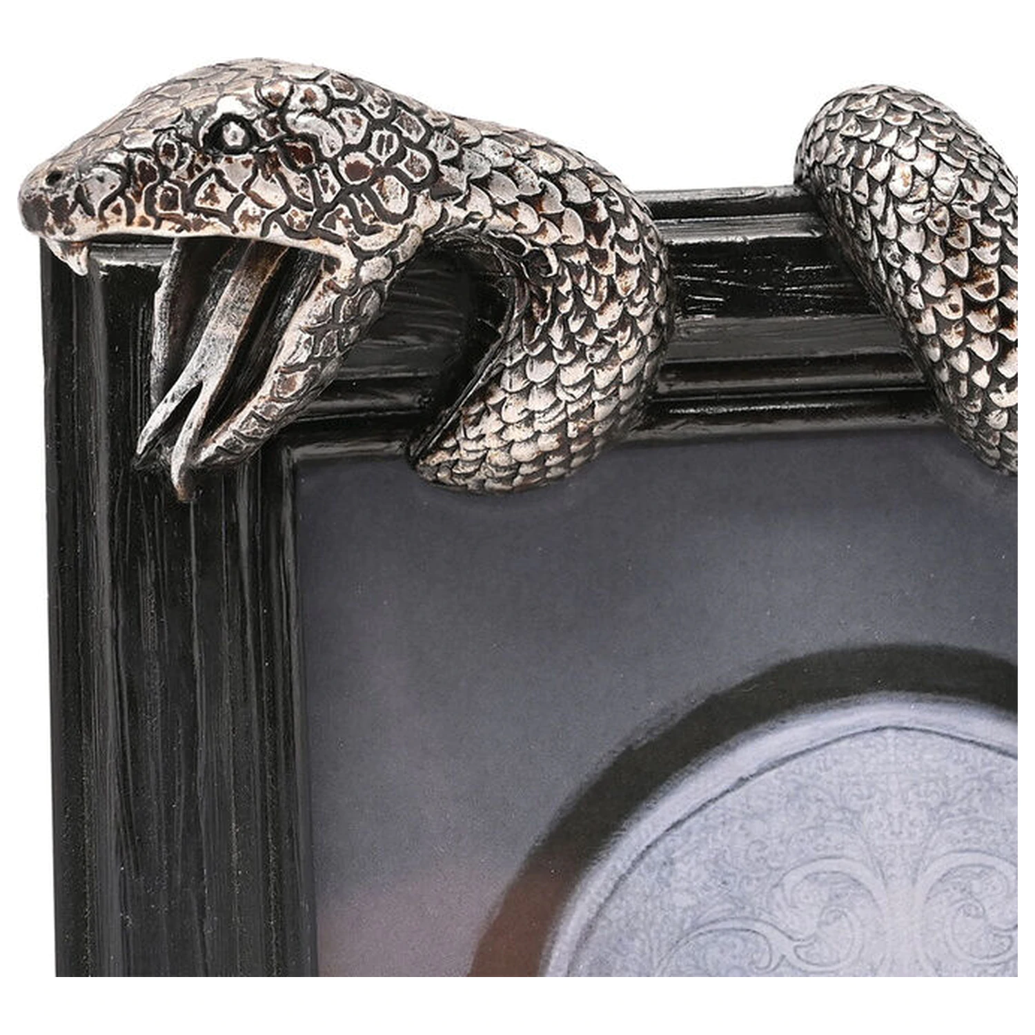 Harry Potter Nagini rama foto poza produsului