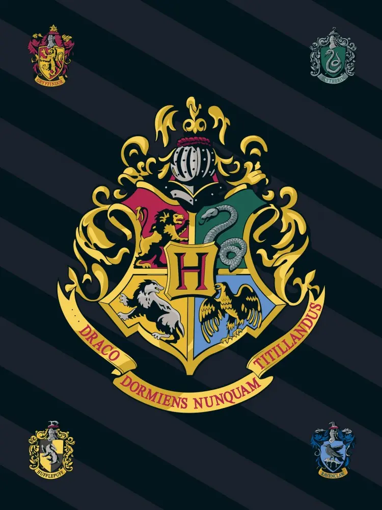 Harry Potter Pătură Fleece 100*140cm poza produsului