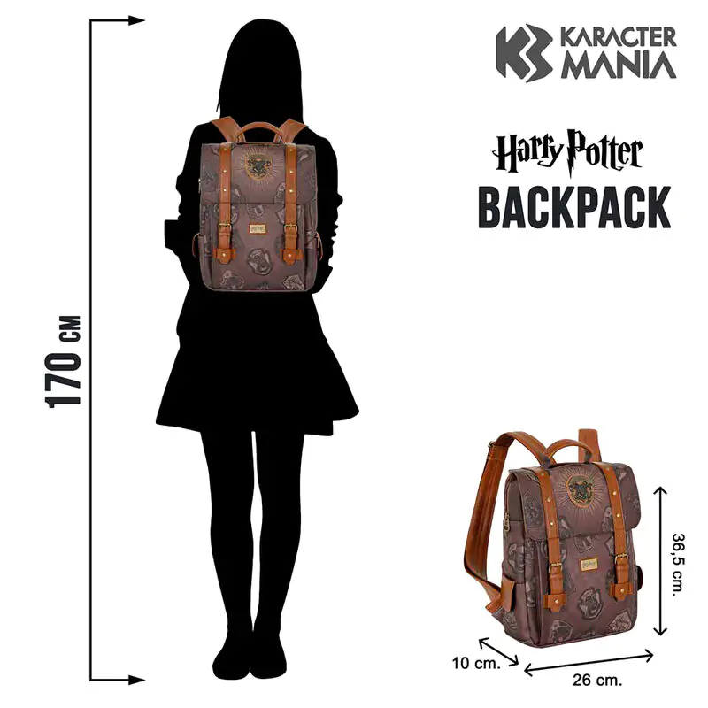 Rucsac Harry Potter Pride poza produsului