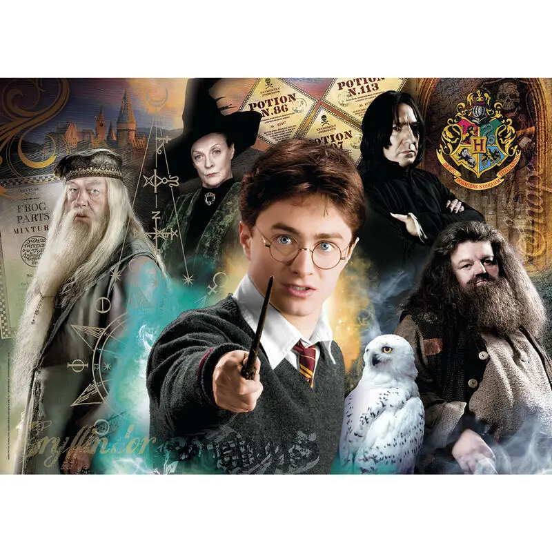 Puzzle Harry Potter Harry la Hogwarts (500 piese) poza produsului